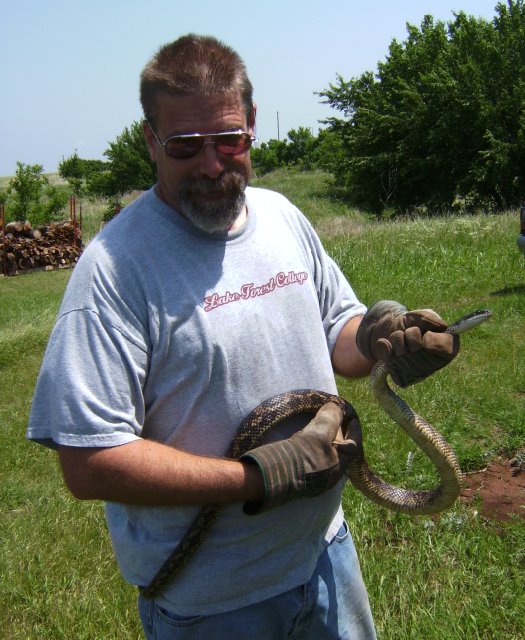 [Bull_Snake_May_08_blog.bmp]
