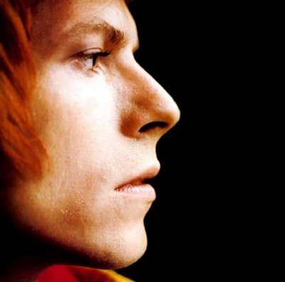 [bowie_profil.bmp]