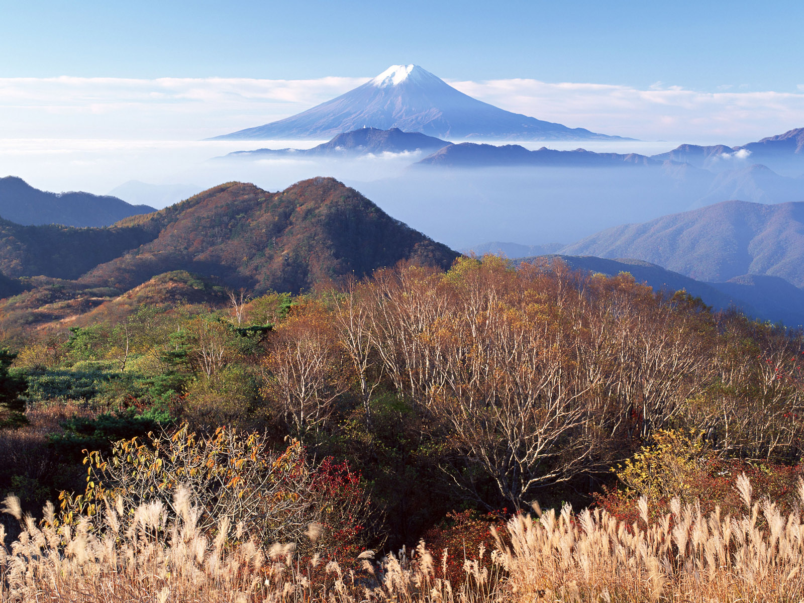 Fuji Fuji Fuji Fuji | Encyclopedia of World Photo