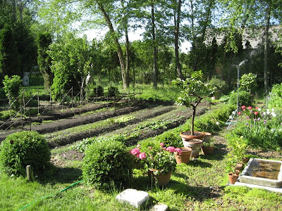 Vegetable_Garden_25.jpg