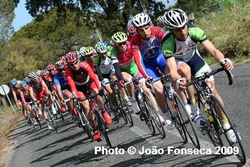 [IMG_6595.jpg]