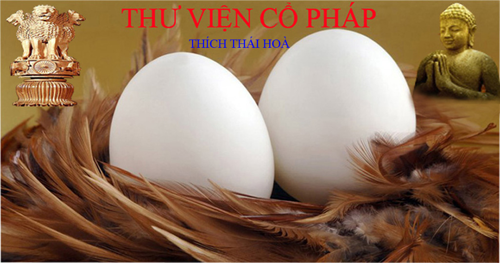 THÍCH THÁI HOÀ - Thư Viện Cổ Pháp