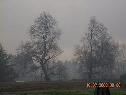 tonos grises de invierno