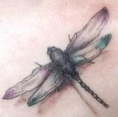[Dragonfly_Tattoo.jpg]