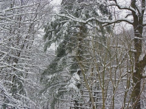 [100_0088.JPG]