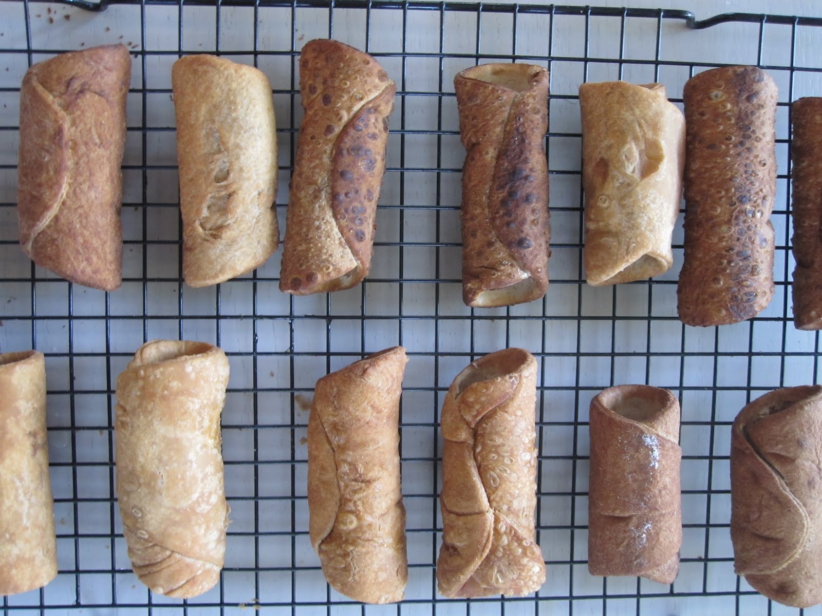 Joe Ruggiero Designer/ HGTV Host: January 2011