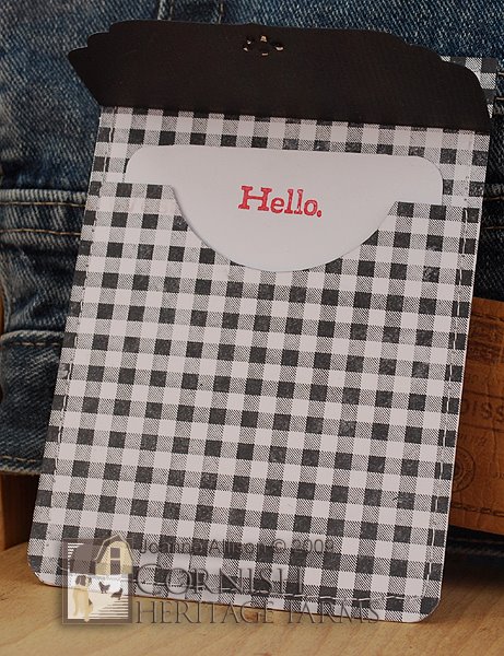 [ginghamPocketOpen.jpg]