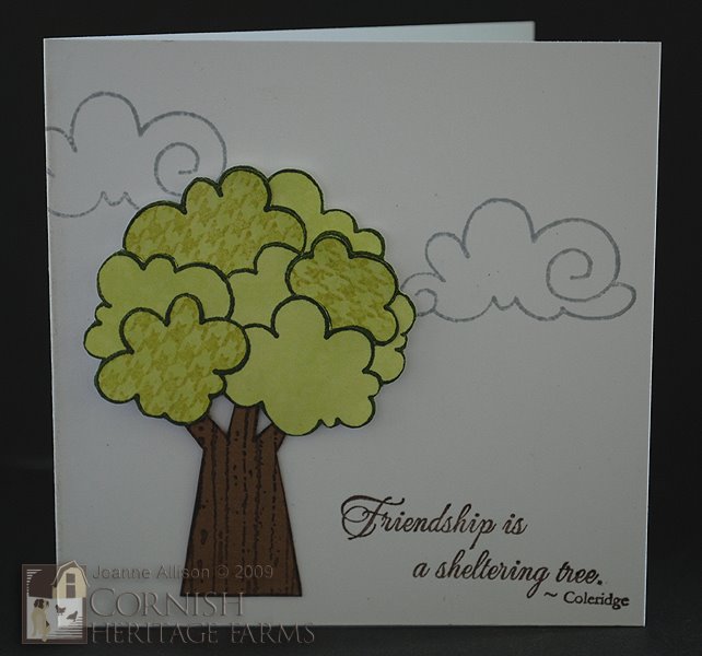 [friendTreeCAS20.jpg]