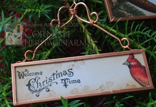 [evergreenSlideCardinal.jpg]