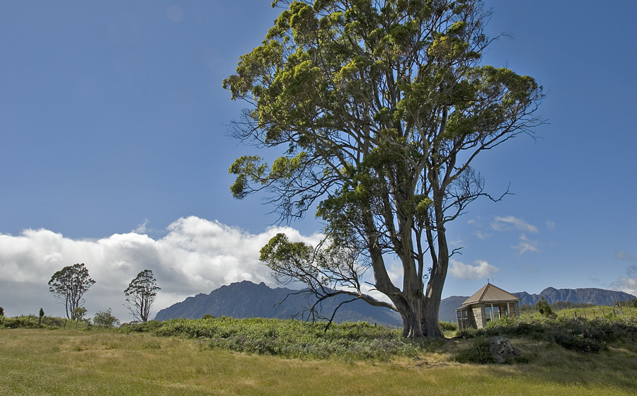 [tasmania2.jpg]