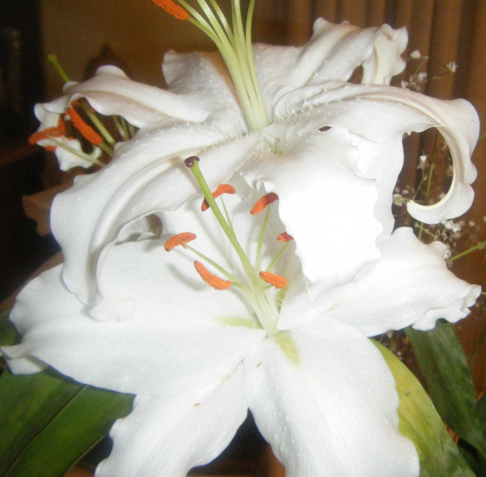 [DSCF1797.JPG]