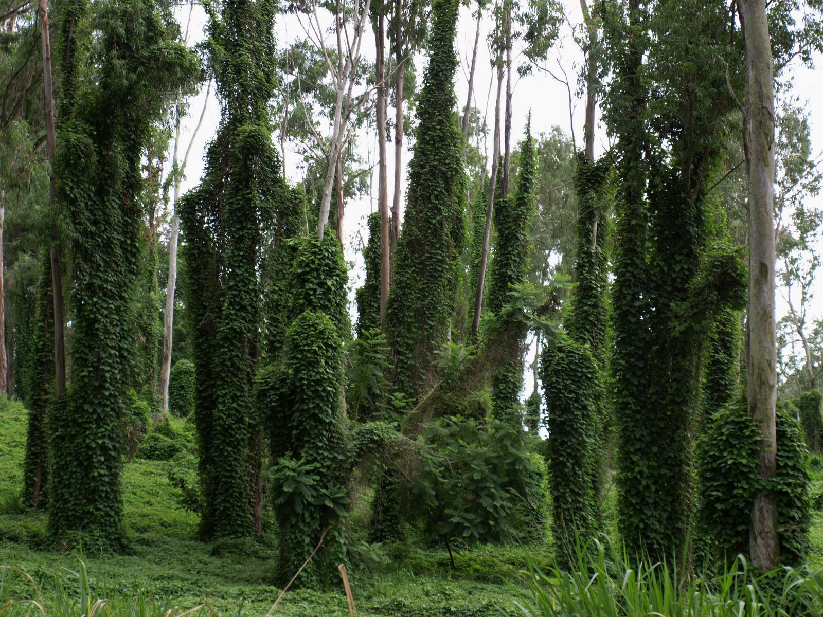 [P8160523.JPG]
