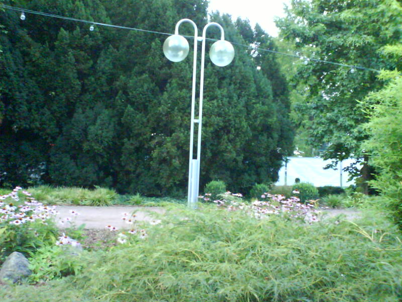 [image-upload-34-718239.jpg]