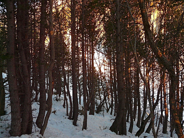 [P1110218.JPG]