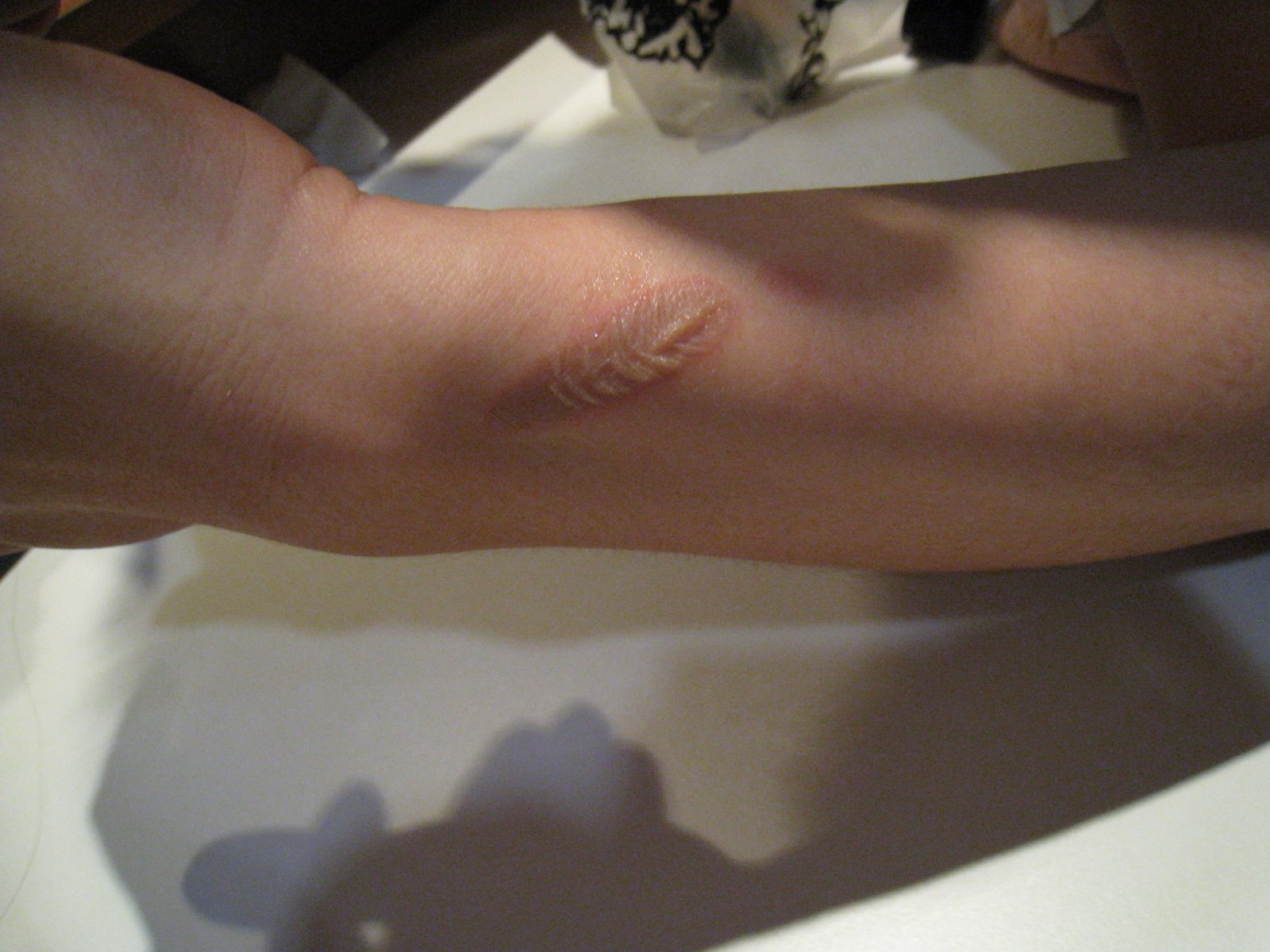 [IMG_2676.JPG]