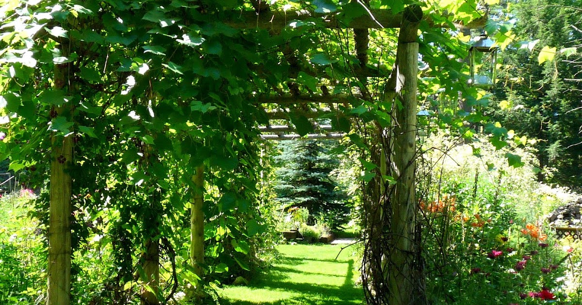 The Retirement Chronicles Autumn visit to Carp River Gardens Part One