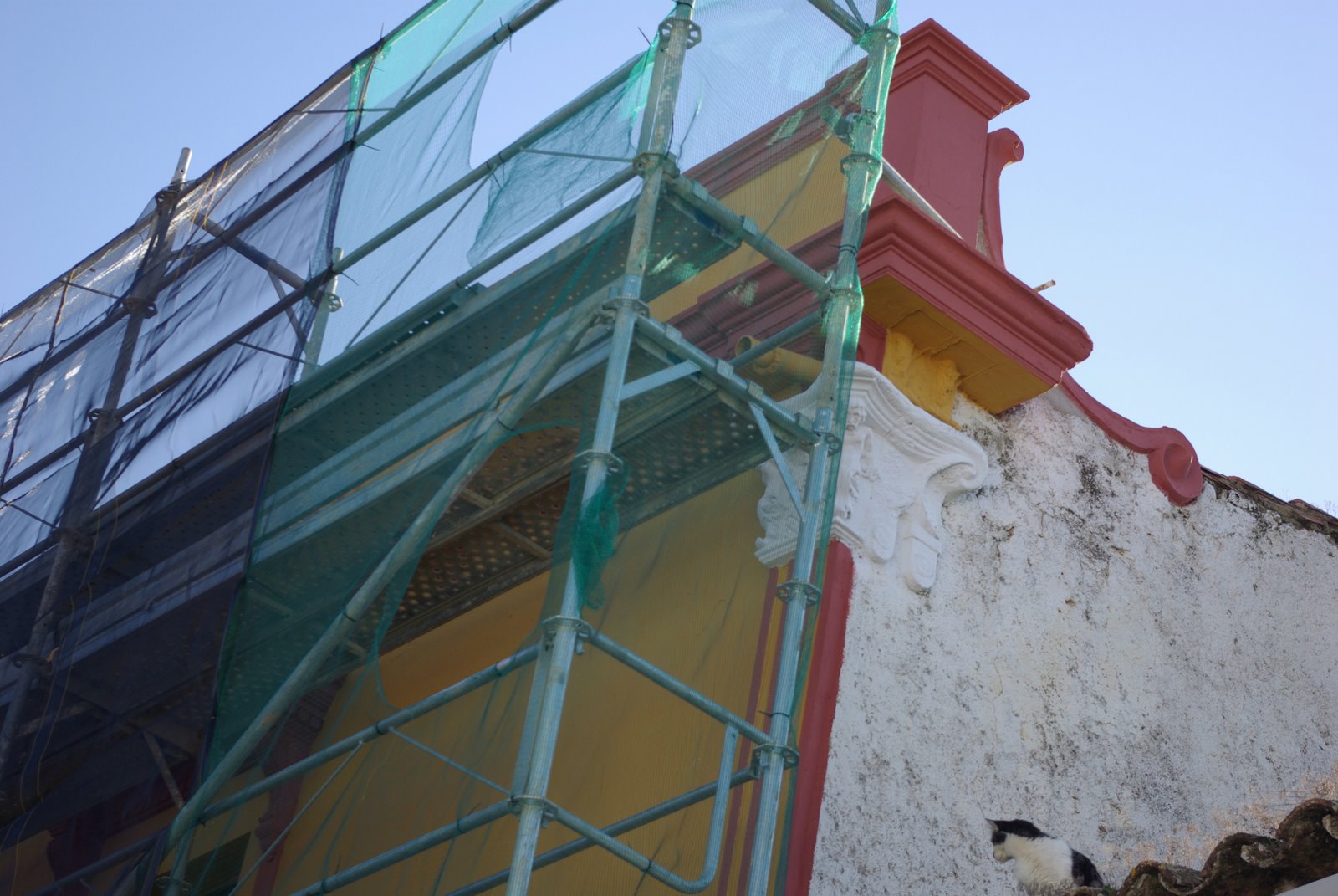 [22tibswatching.jpg]