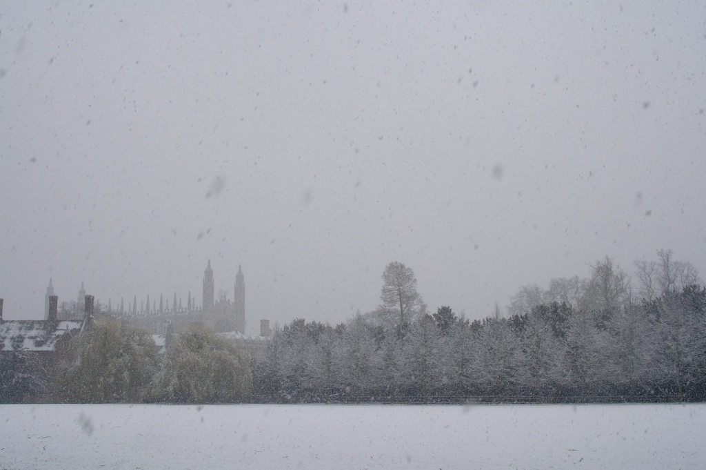 [King'sandPaddock.jpg]