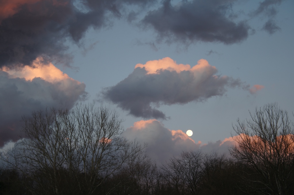 [Moonrise.jpg]