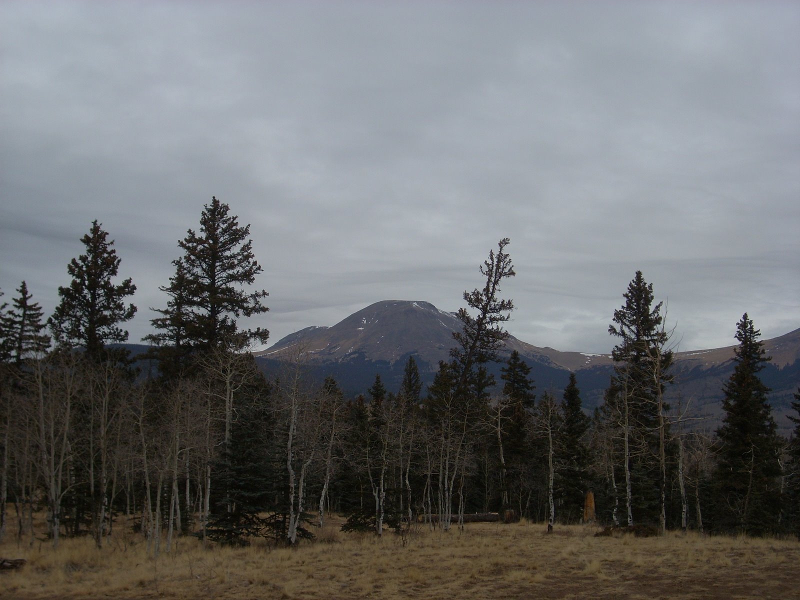 [DSCN0639.JPG]