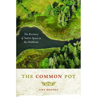 native american rituals 2 laptop