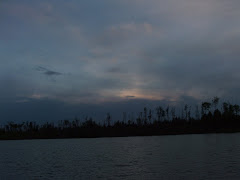 Night sky in the Boundary Water Canoe Area