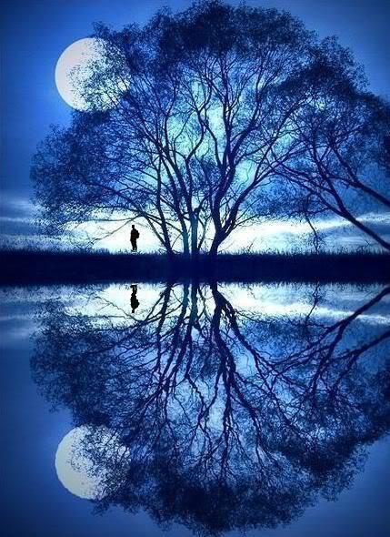 [full-moon-reflection.jpg]