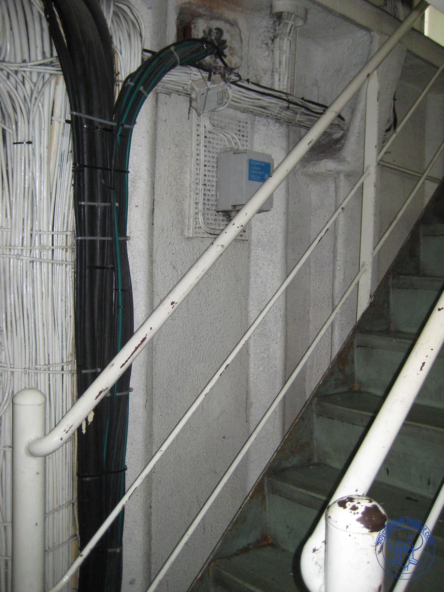 Calamardo: septiembre 2010