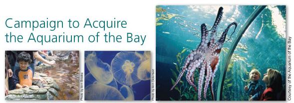 SF Aquarium of the Bay Campaign