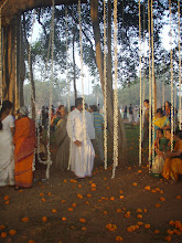the scene at the banyan tree