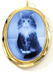 [htcatcameo.jpg]
