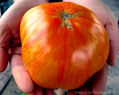 beauty king tomato