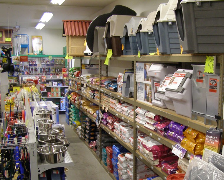 Darlene's Blog Choosing A Pet Supply Distributor