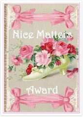 Nice Matters Award