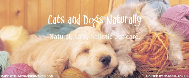 Probiotics For Dogs. Cats and Dogs Naturally