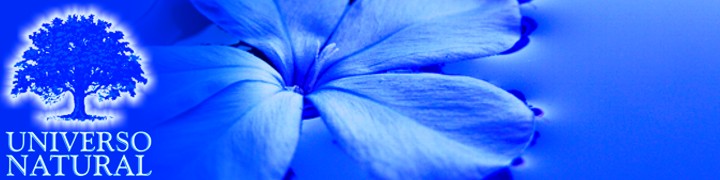 Universo Natural