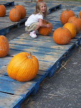 Katie picking out her pumpkin