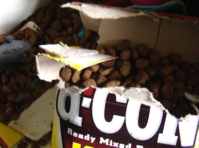 Mice
