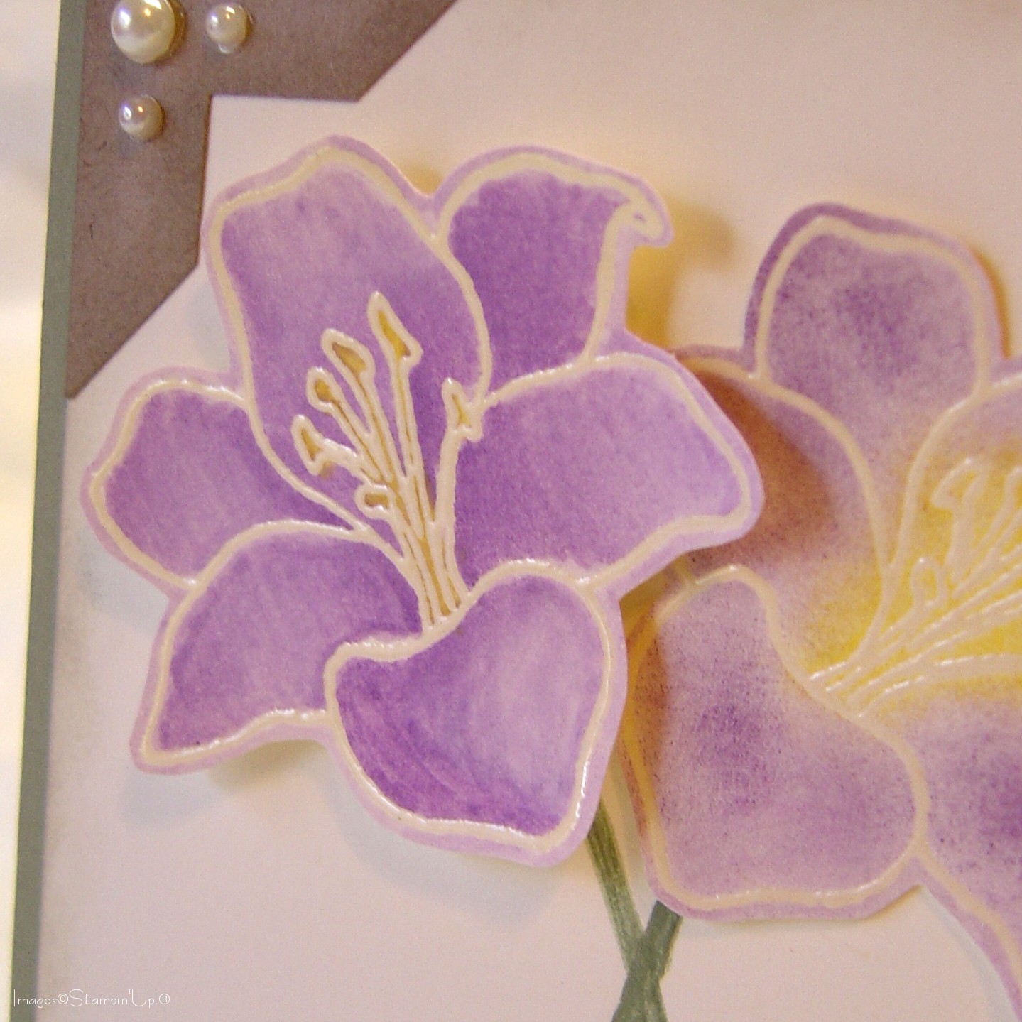[LilyEasterCard_shot]