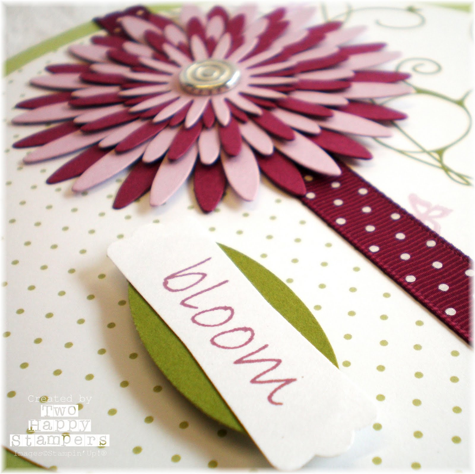 [Adriel+Spring+Plate+3.jpg]