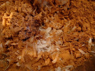 Close up of Raw Vegan Chocolate Coconut Snowballs ingredients