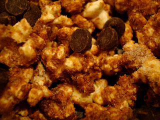 Close up of Chocolate Coconut Oil Protein Popcorn with chocolate chips