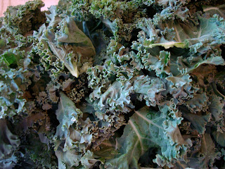 Close up of Kale