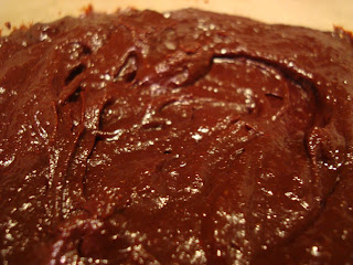 Vegan brownies in container close up