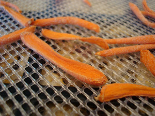 Close up of dehydrated carrots on tray