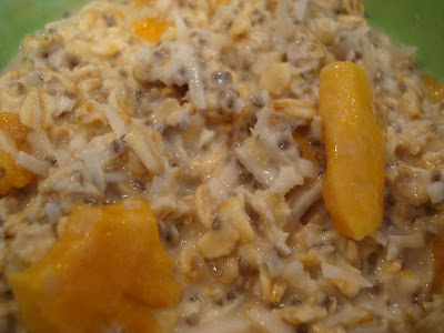 Close up of Overnight Chia Seed-Coconut-Mango Soaked Oats