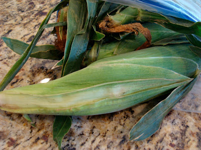 Ears of corn on countertop