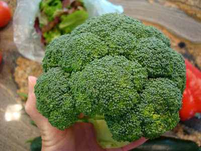 Hand holding head of broccoli