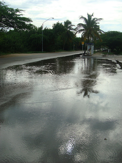 Close up of flooded roadway