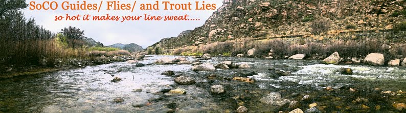 SoCO Guides, Flies, and Trout Lies